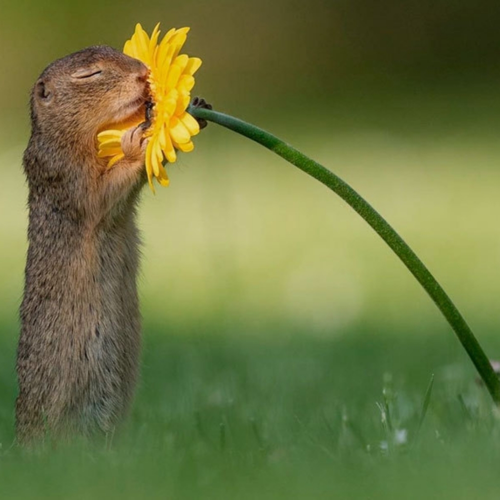 Meet your Posher, Clair